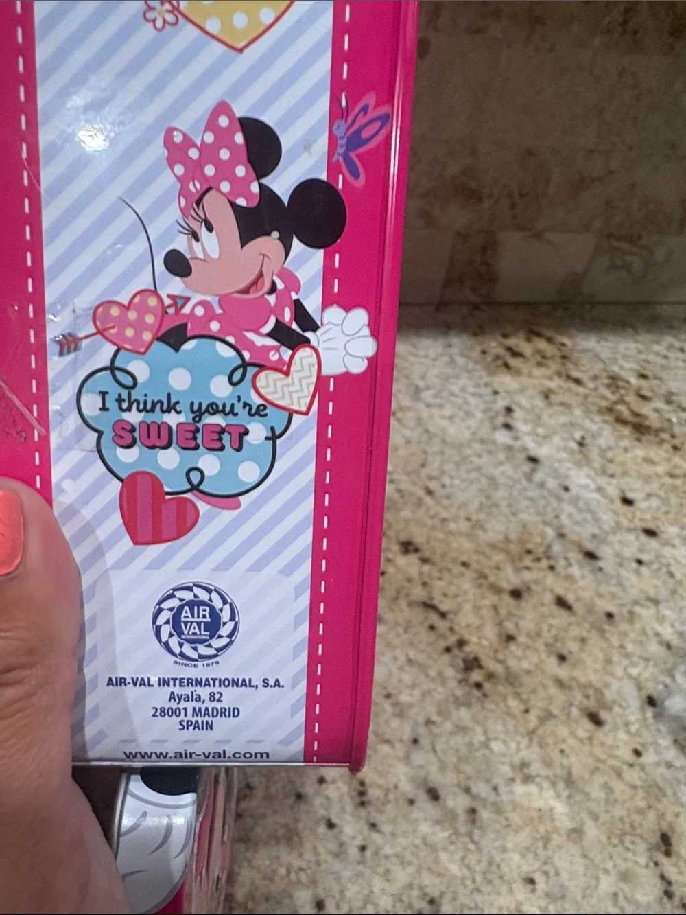 Disney metal lunch